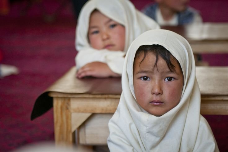Nova Afg community